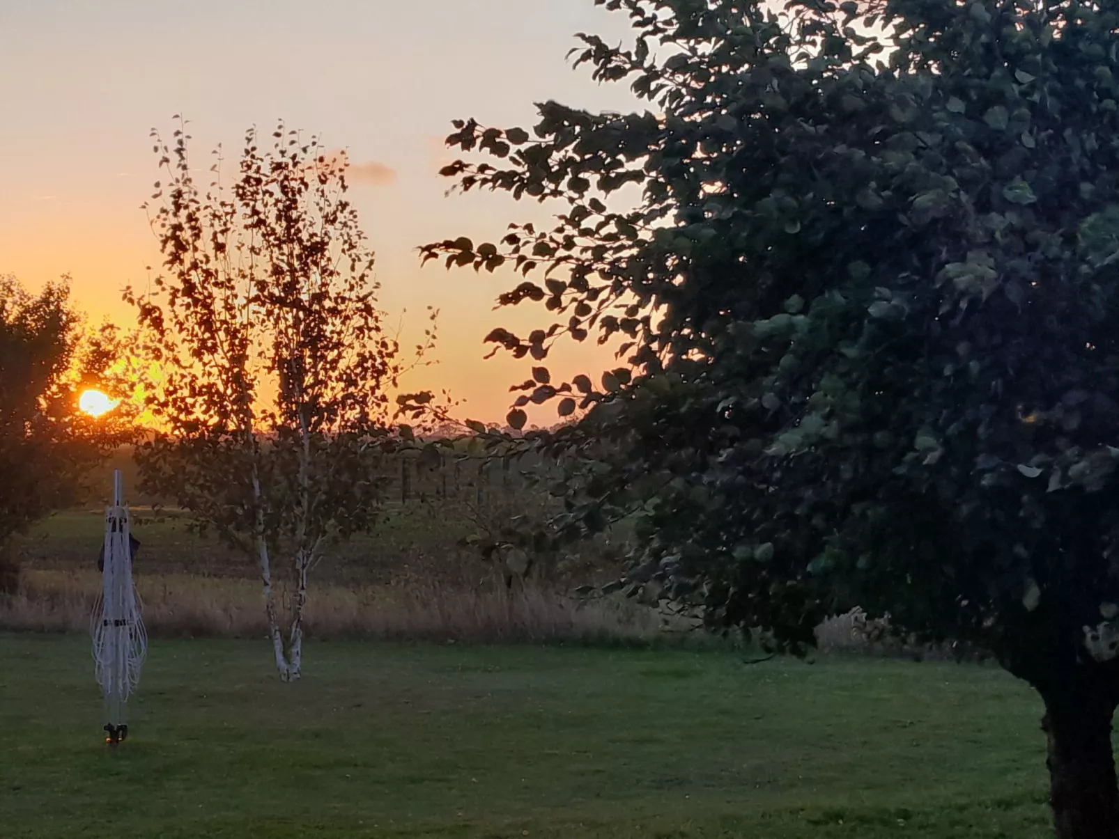 Seeschwalbe-Draußen