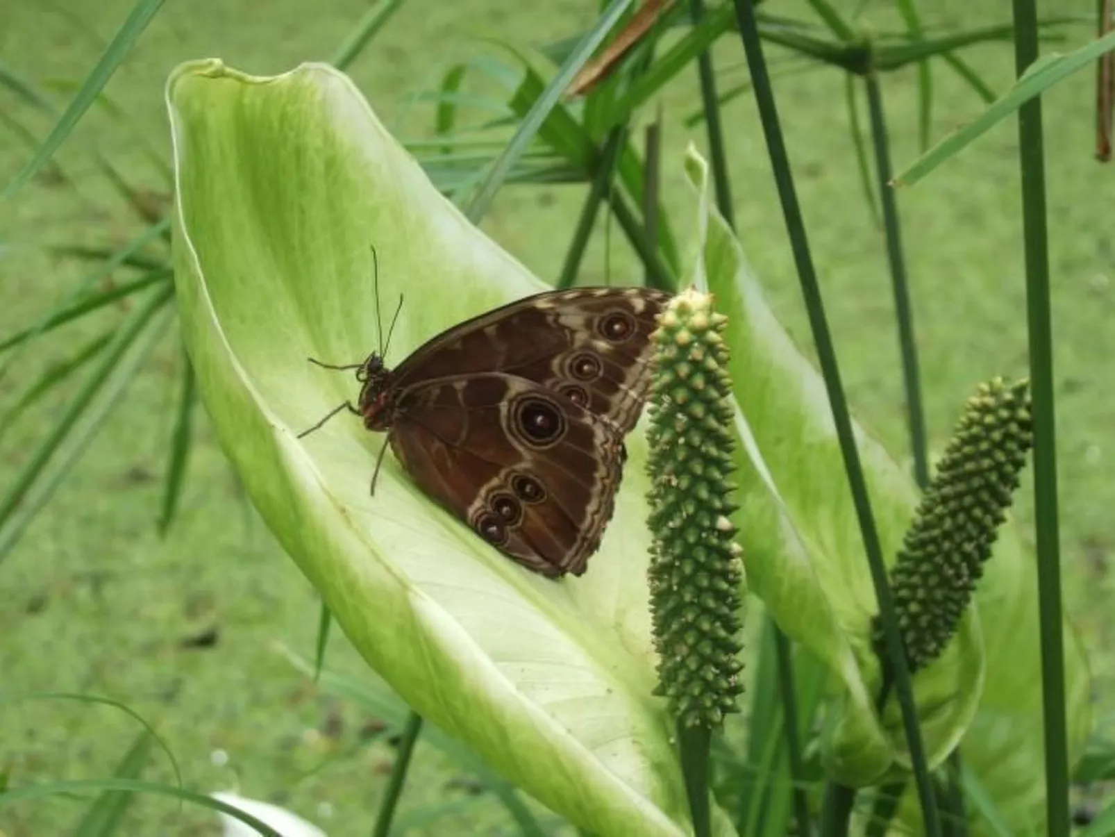 Lahnhöhe-Image-tags.info