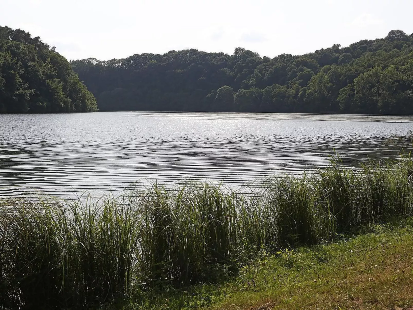 Mit Garten im Naturpark Südeifel-Dehors