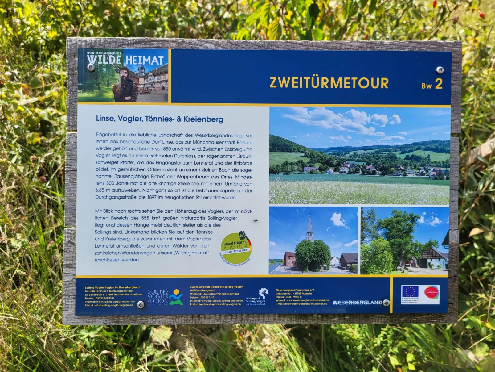 Apartment mit Hund-Draußen