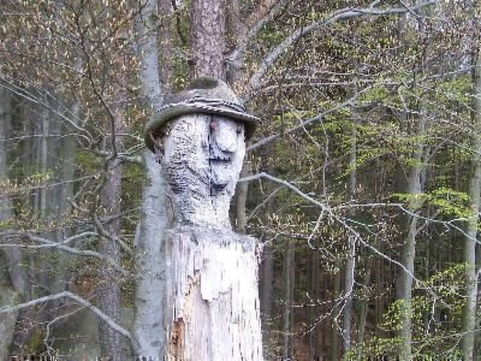 Zillendorf-Image-tags.info