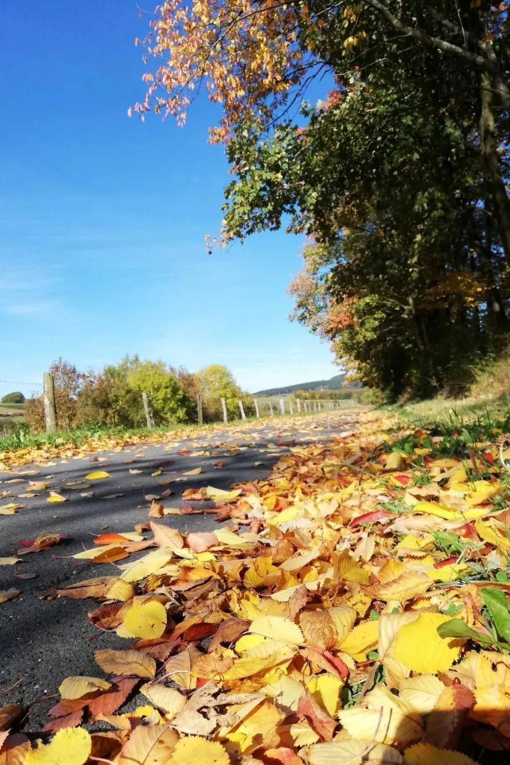 Haus Schnurbus - Outside