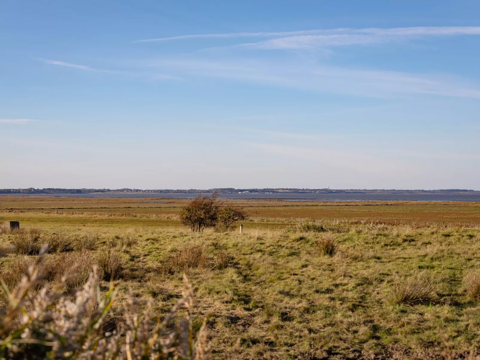 Liiger Wal in Morsum-Outside