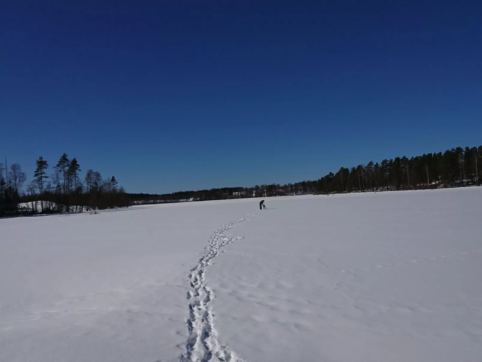 Saxarsviken-Draußen