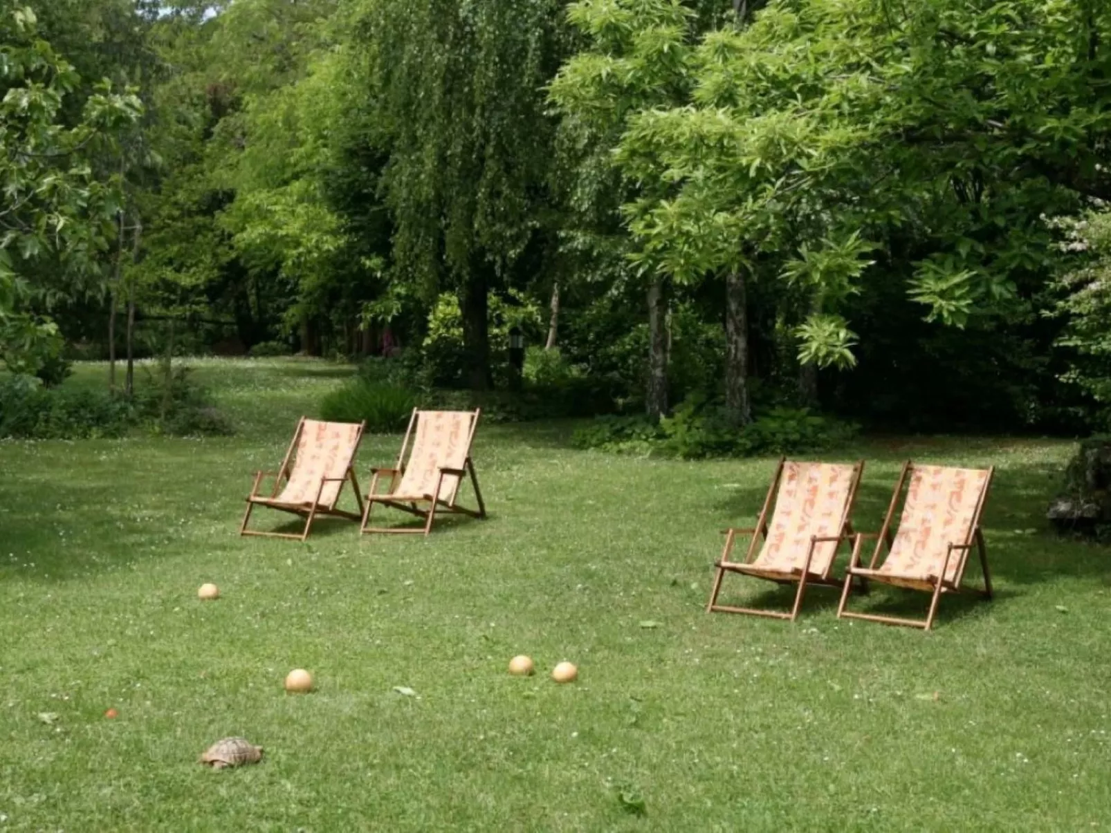 Gemütliches Ferienhaus in Ružići mit Offenem Kamin-Outside