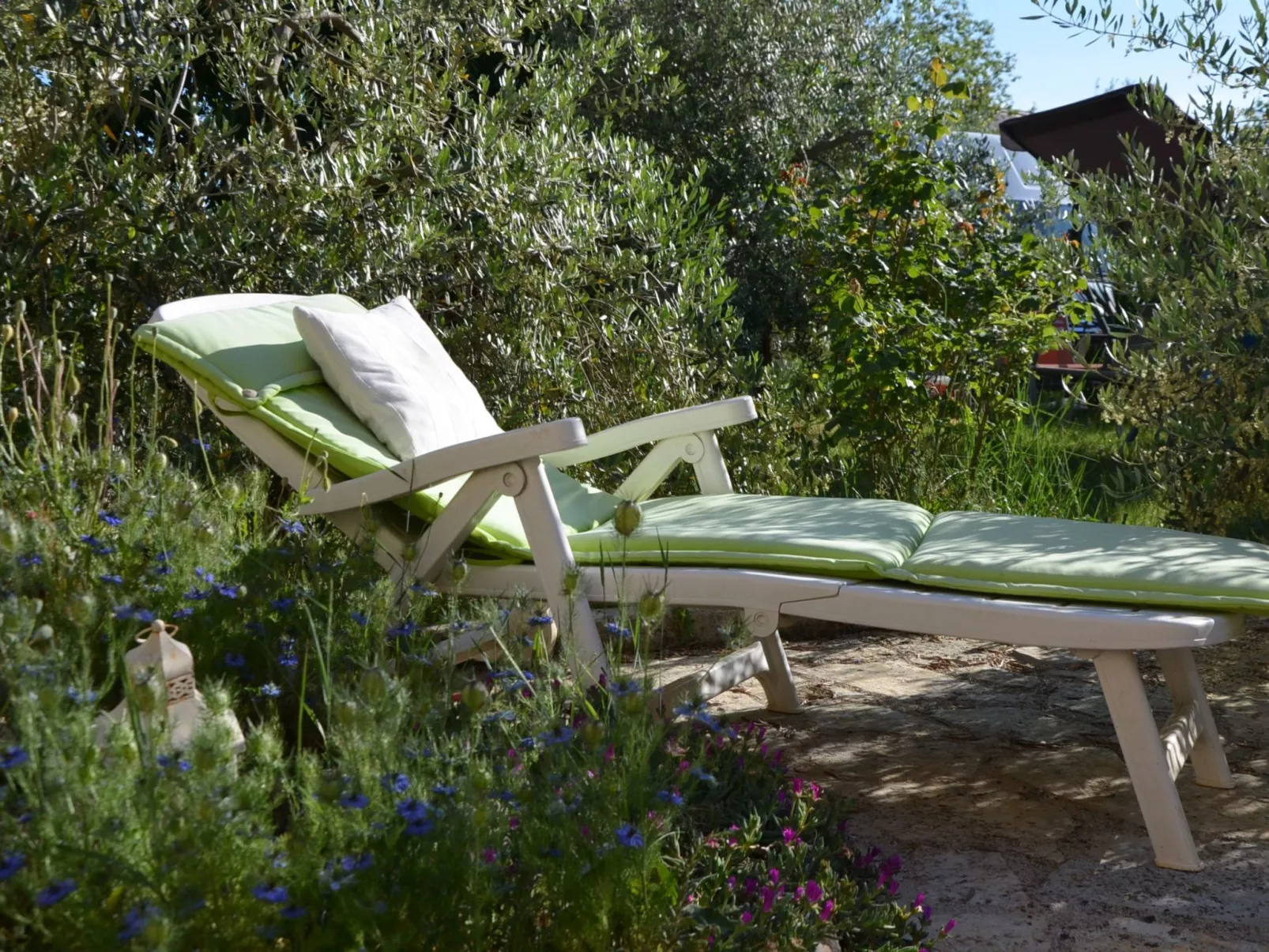 Jaclina-Image-tags.info