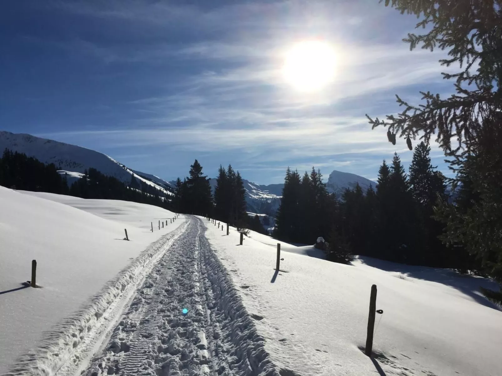 Fewo mit Herz-Draußen