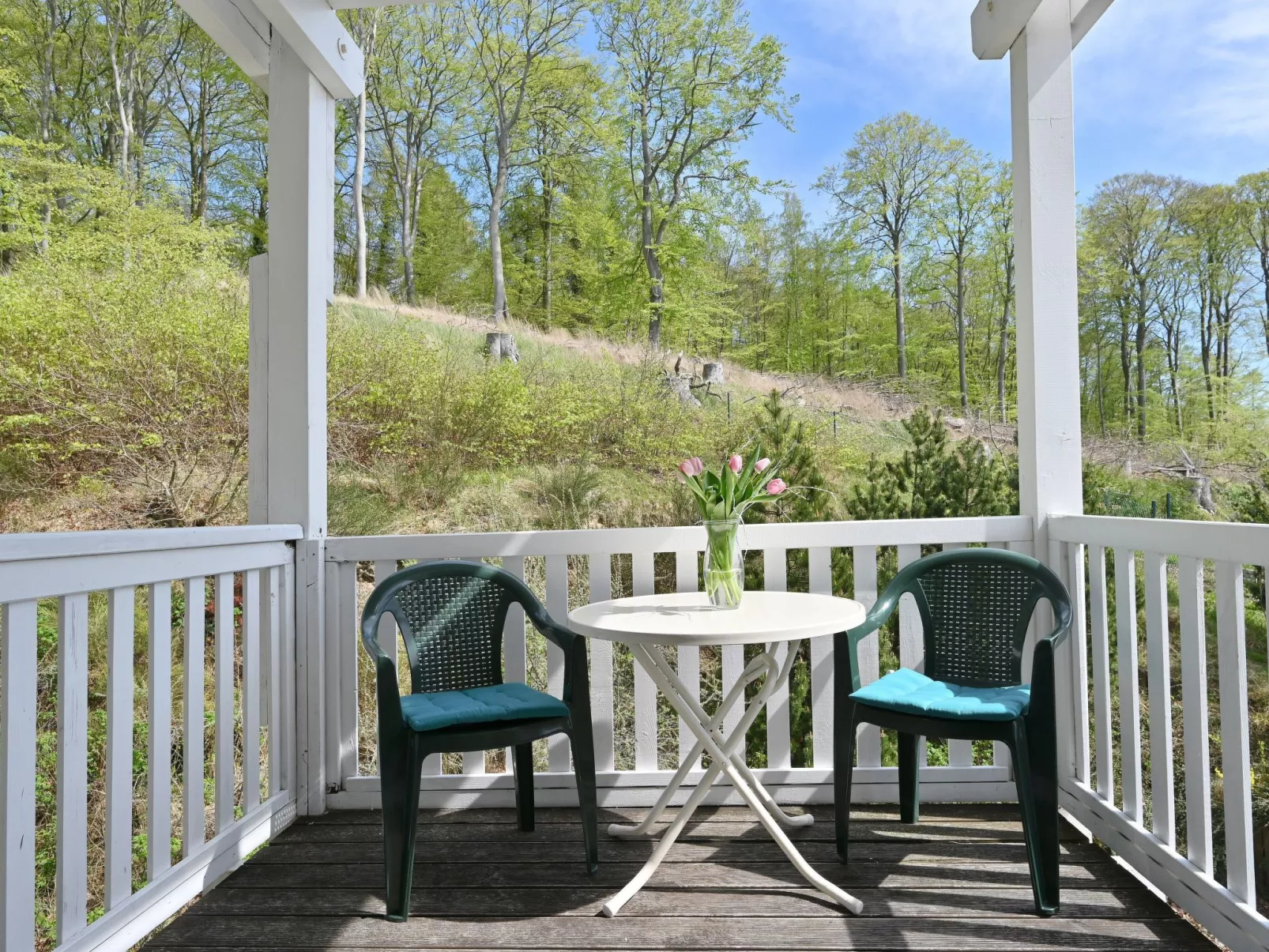 Villa Celia Sellin-Draußen