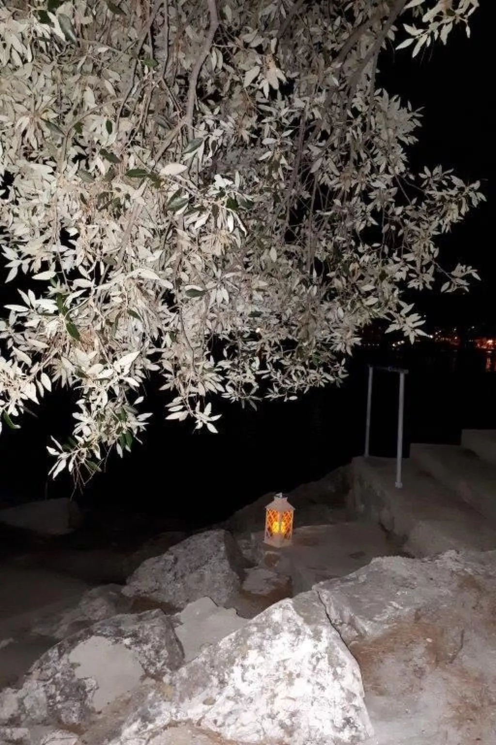 "Peaceful Paradise"-Dehors