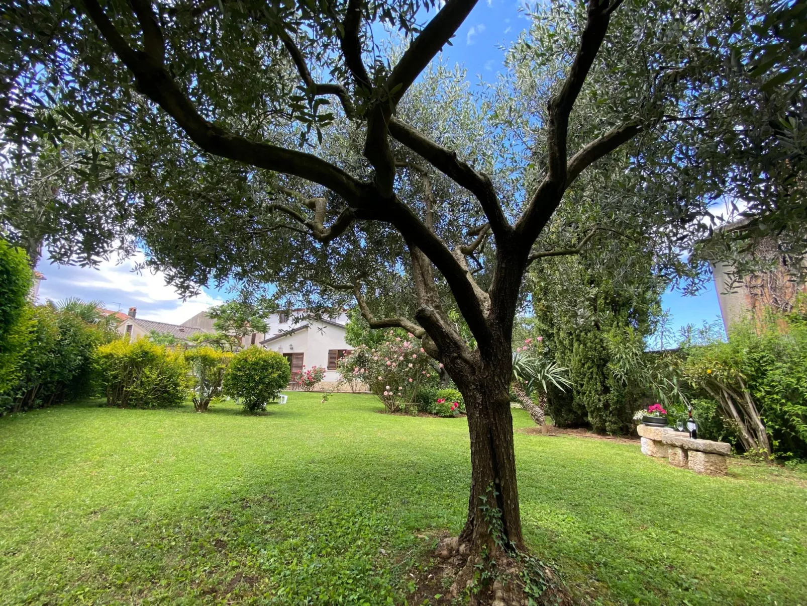 Freistehender Bungalow Perla mit Garten und Grill-Draußen