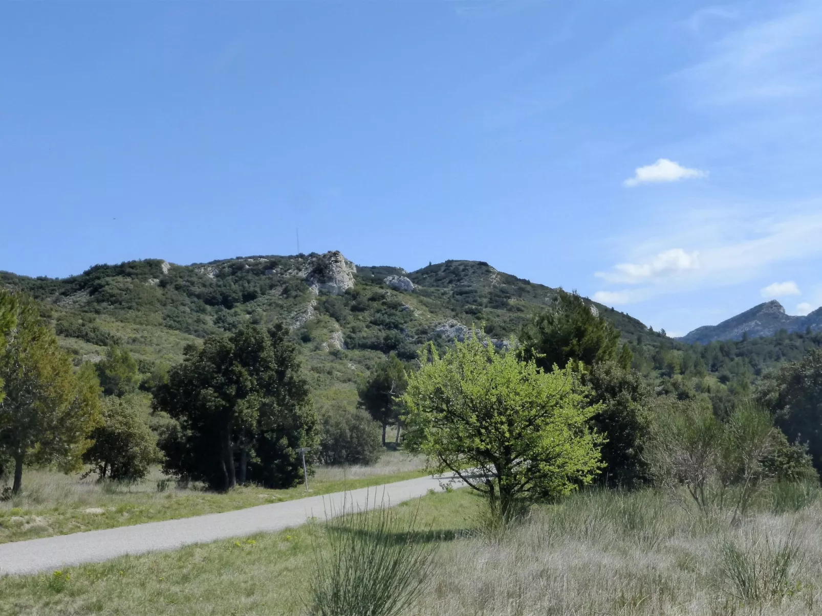 Charmantes Haus mit Pool und Garten-Draußen