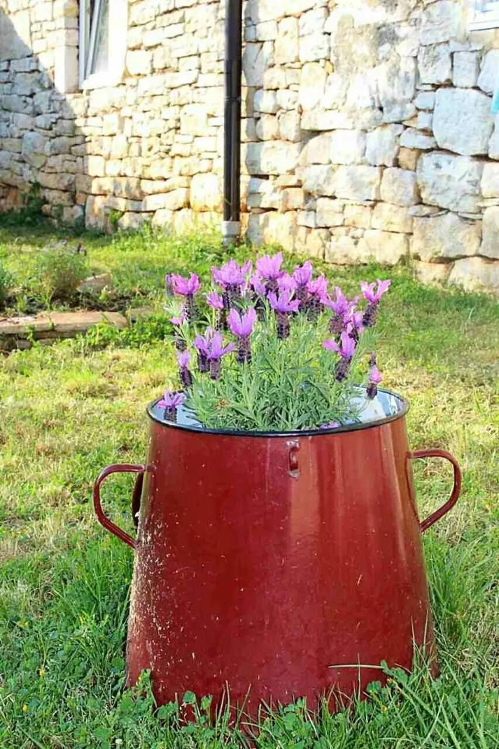 Typisch istrisches Ferienhaus mit Garten-Dehors