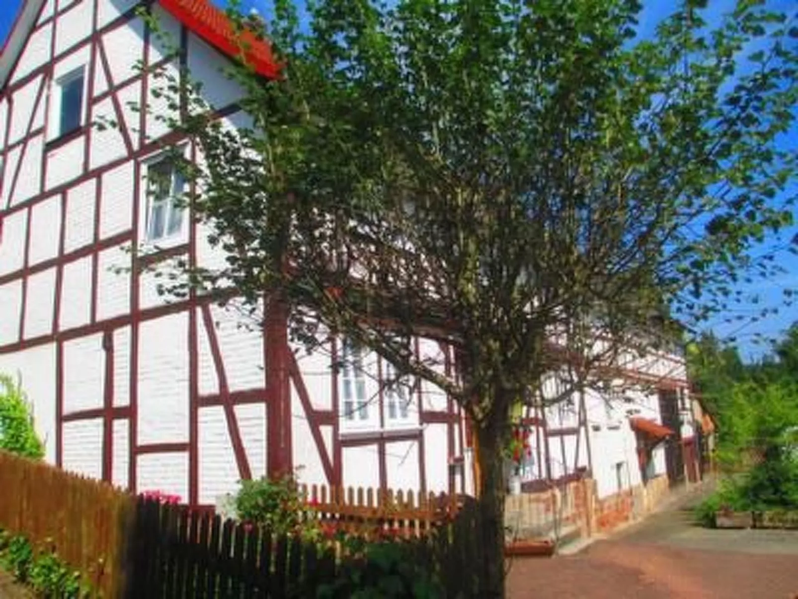 Reitz-Image-tags.info