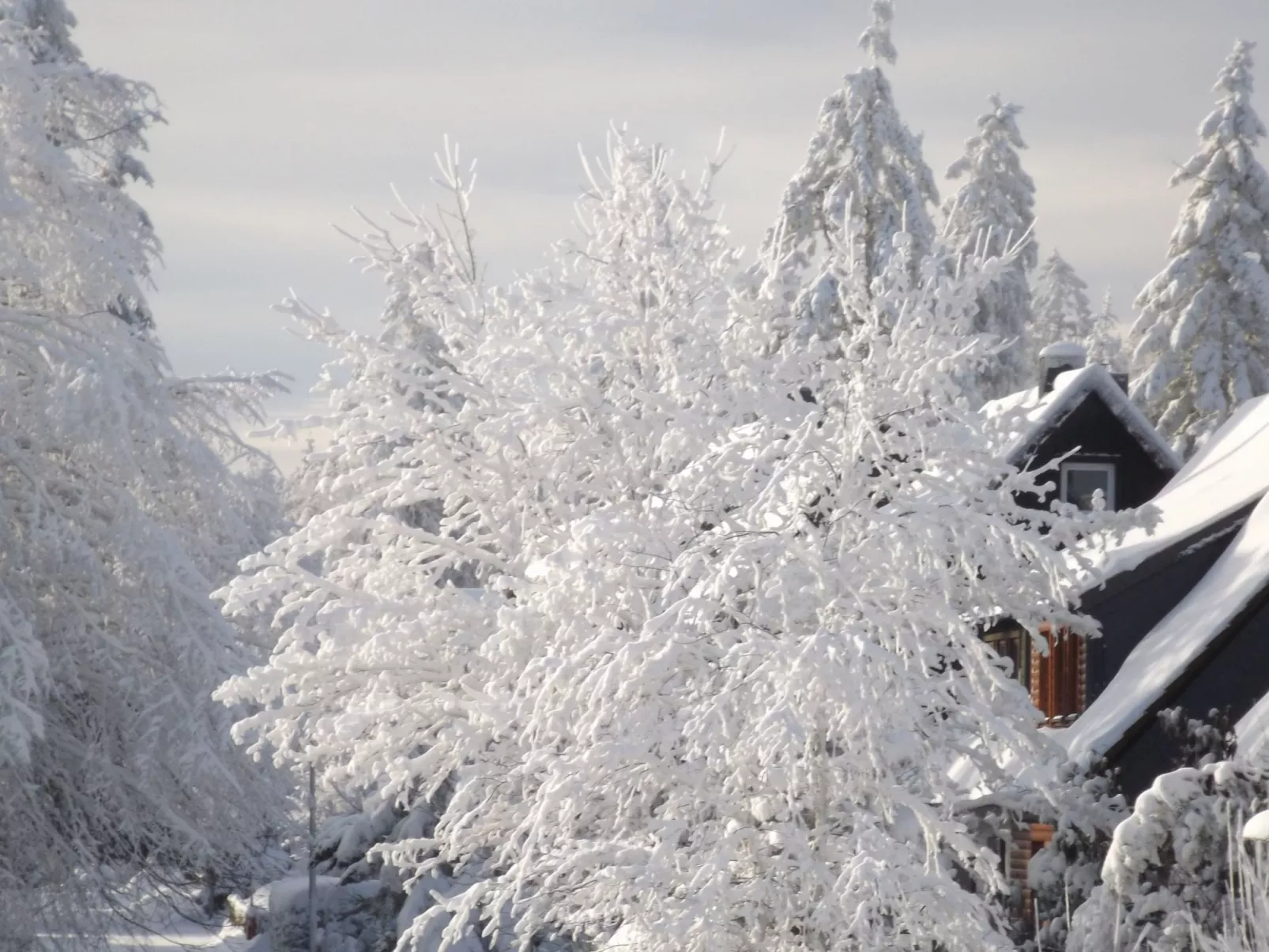 Großzügige Wohnung mit Bergblick im Haus Hopfe-Draußen
