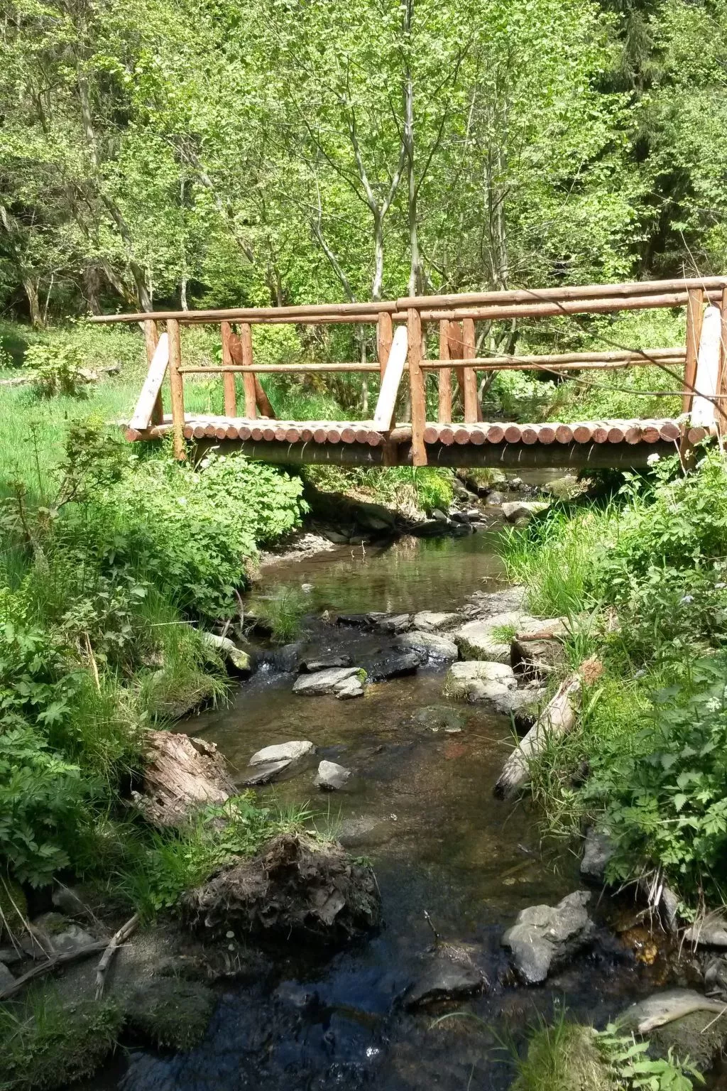 Für 6 Personen im Thüringer Wald-Draußen