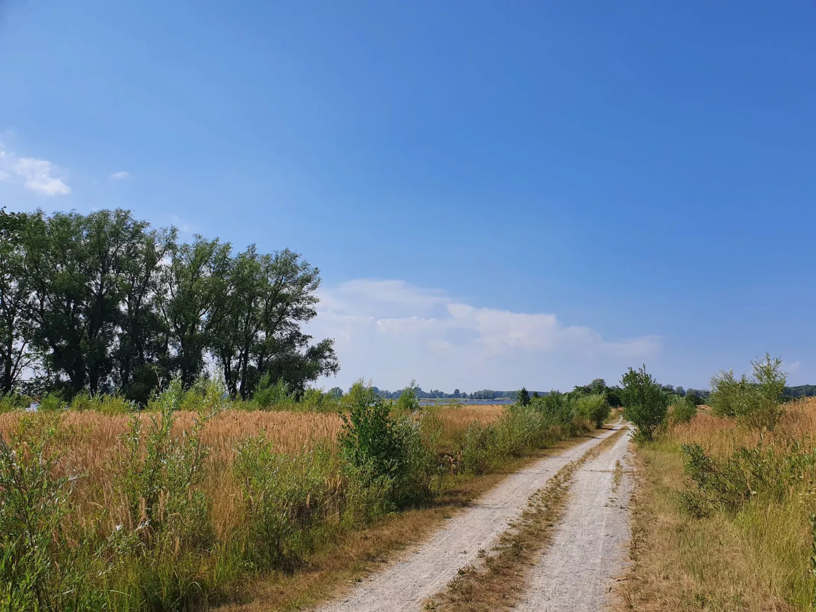 In Mellnitz mit Großem Garten-Draußen