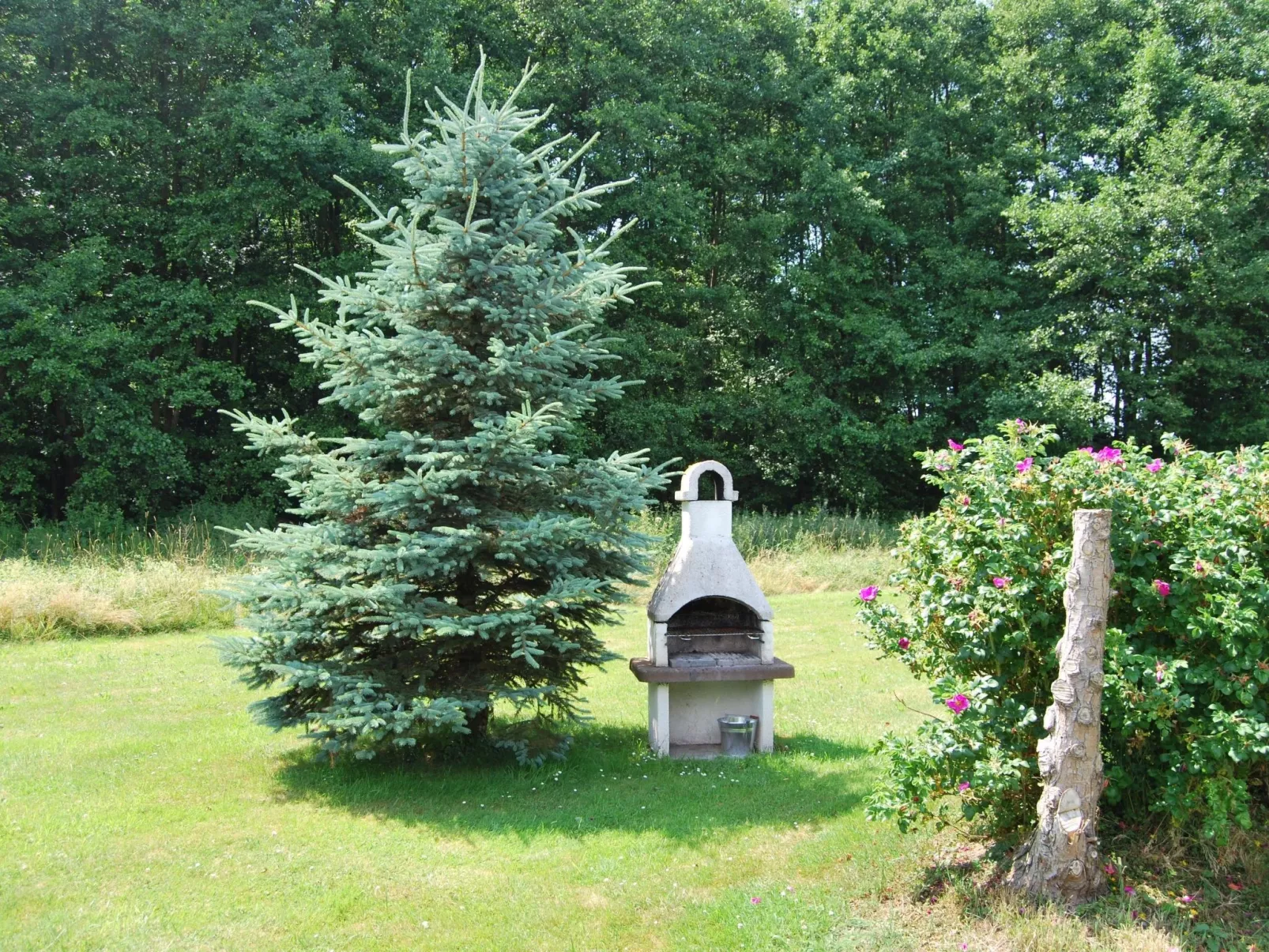 Fewo Stricker 22-Draußen