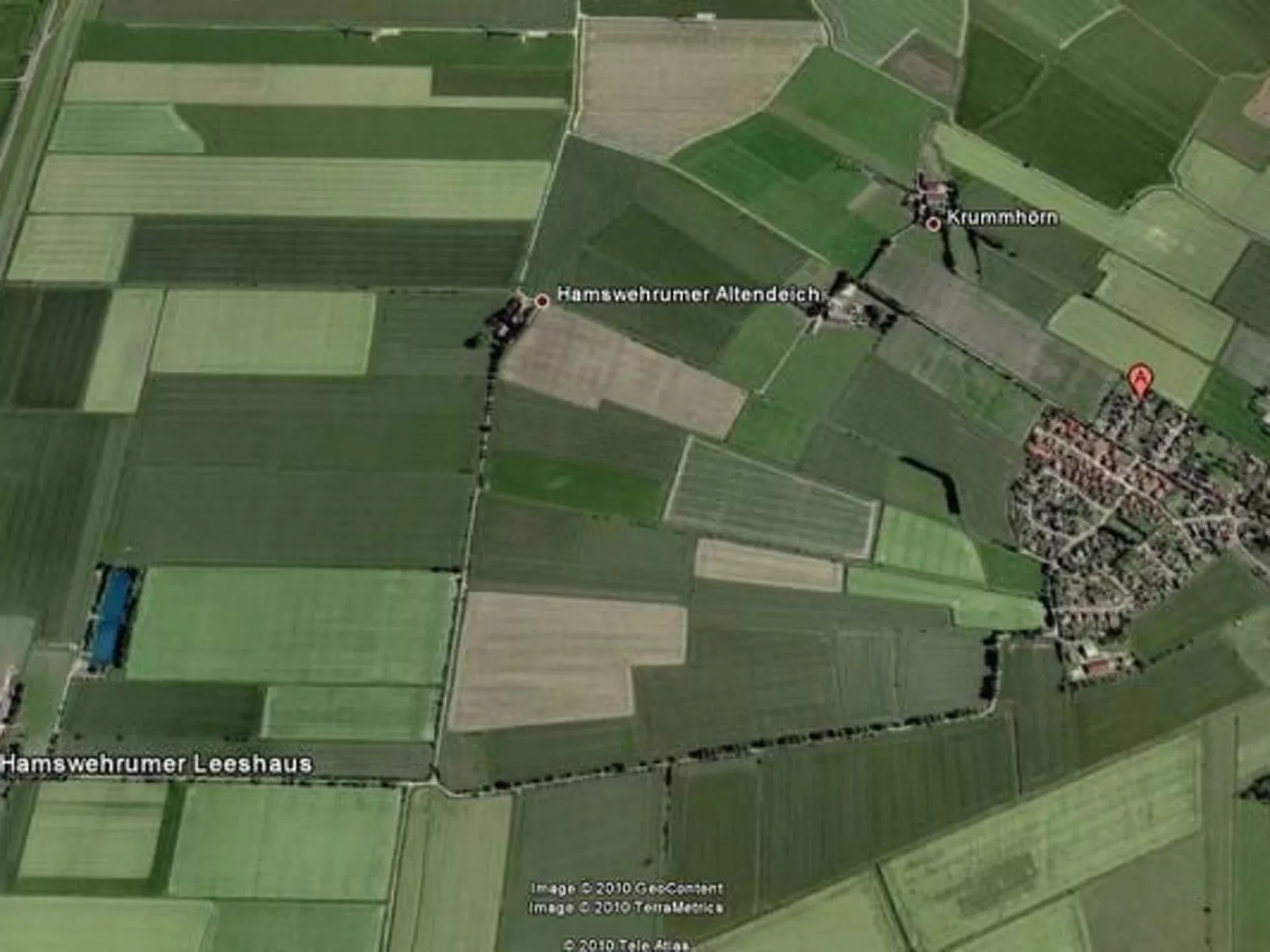 Seepferdchen-Outside