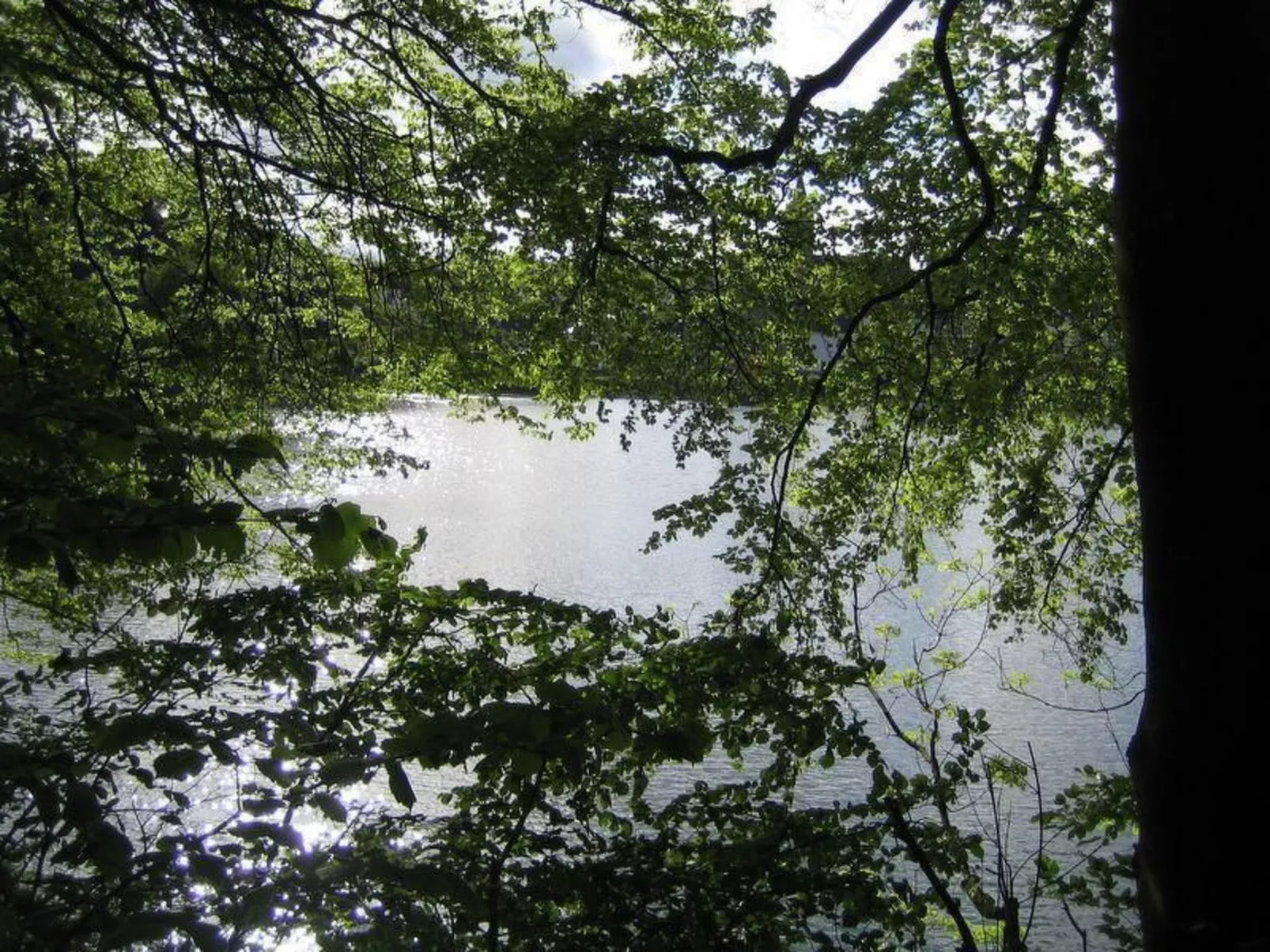 FeWo Haus André-Outside