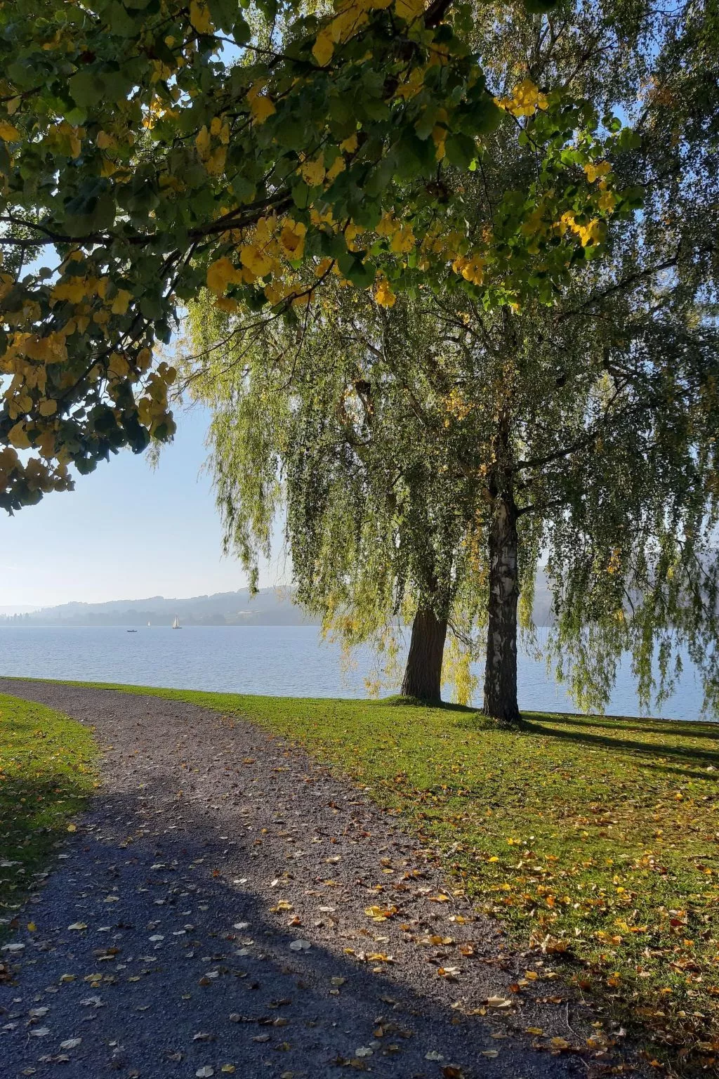 Wohlfühloase-Outside