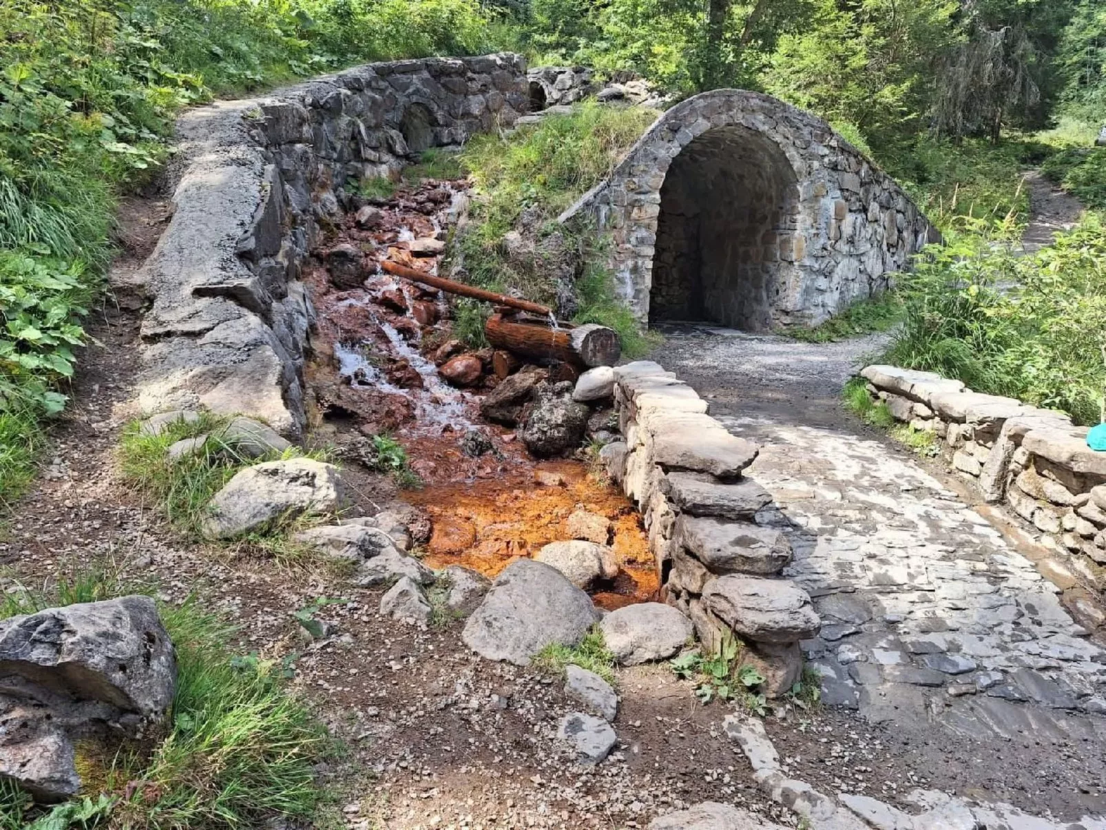 Apartment plus Pool-Draußen