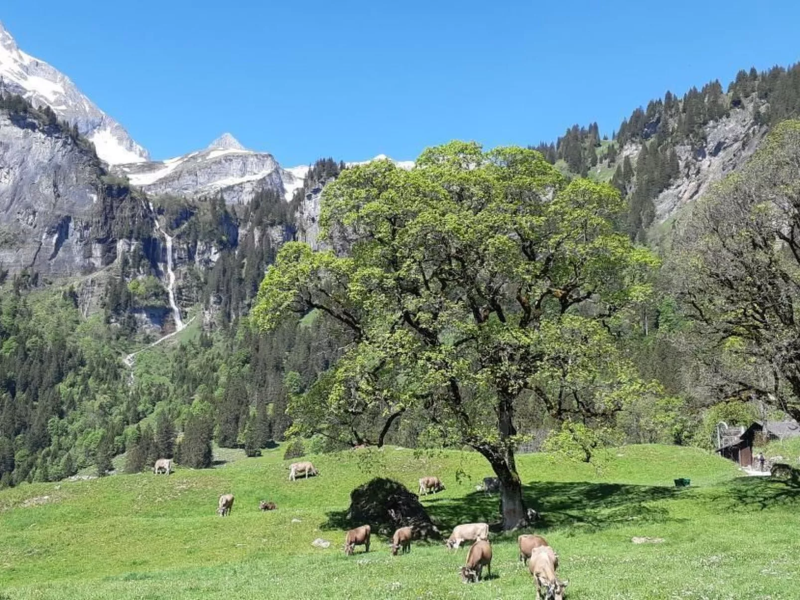 Rietberg 8 Braunwald-Draußen