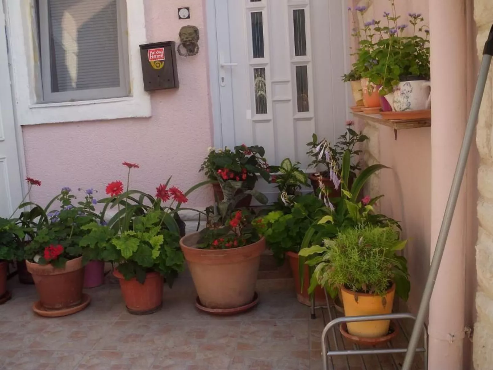 Luxory mit Meerblick-Draußen