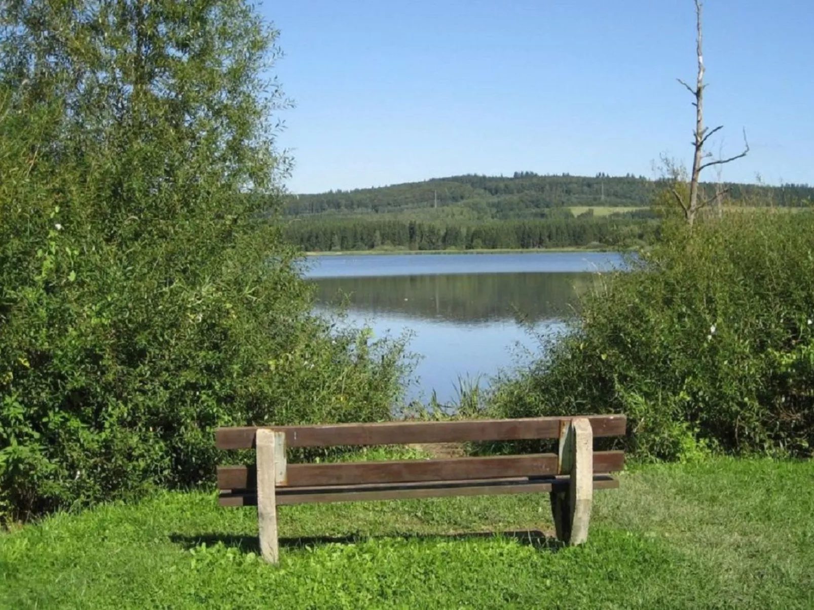 In der Vulkaneifel-Outside