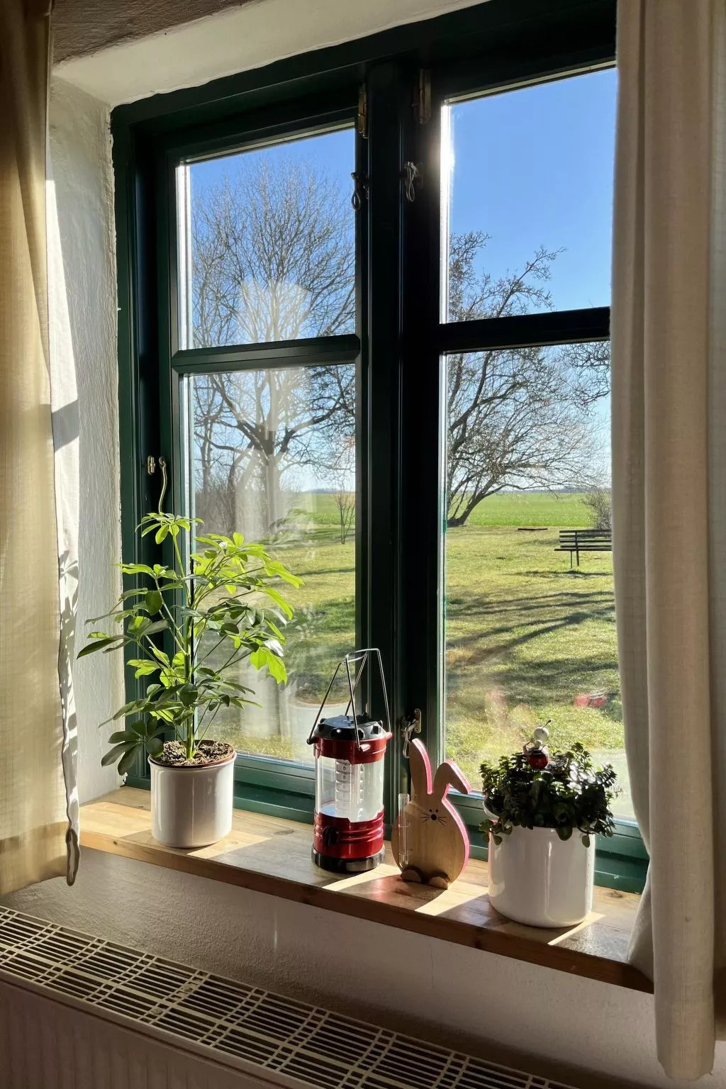 Kranich in Ummanz-Lüßvitz-Outside