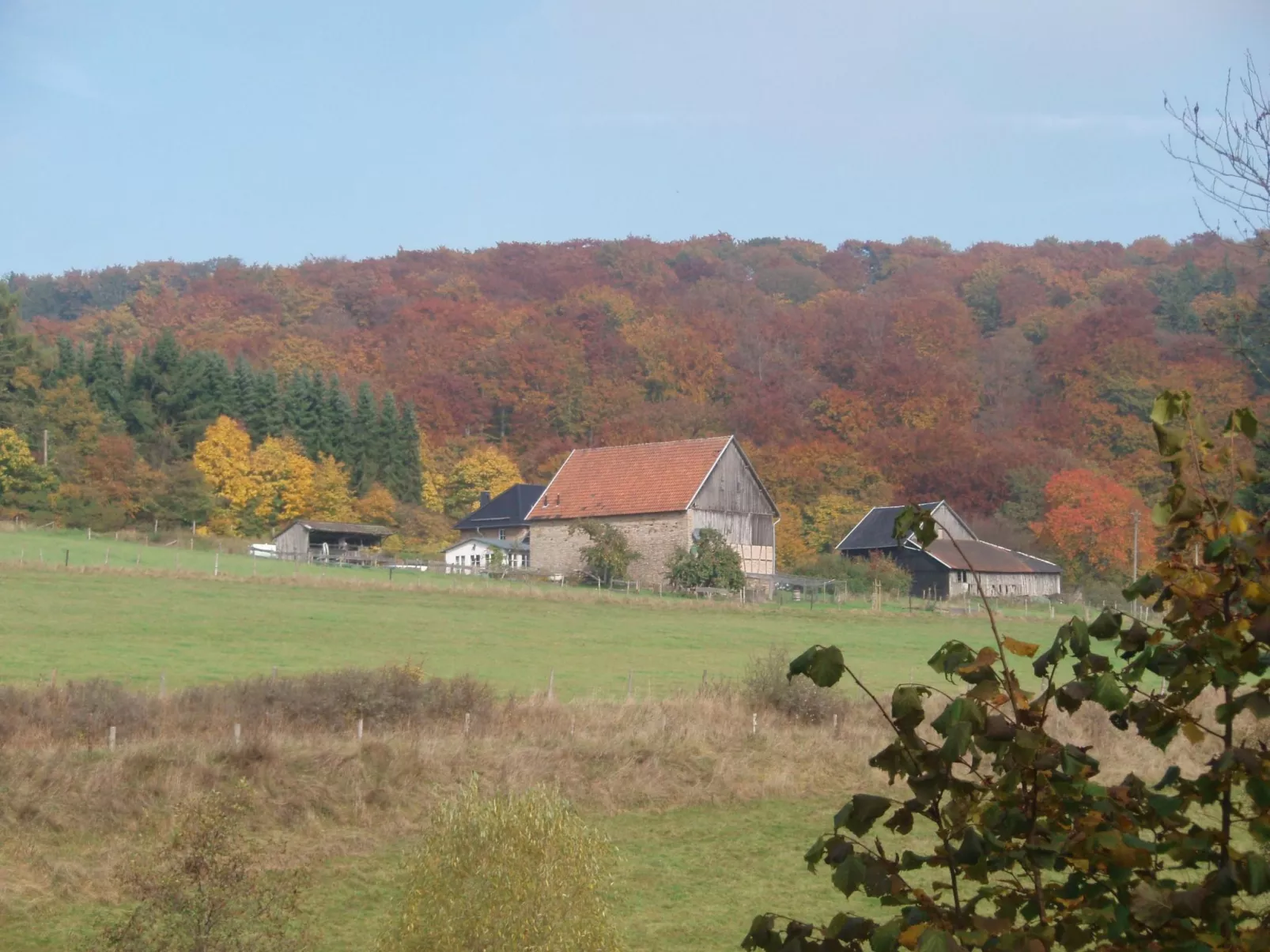 Little Stonehouse-Dehors