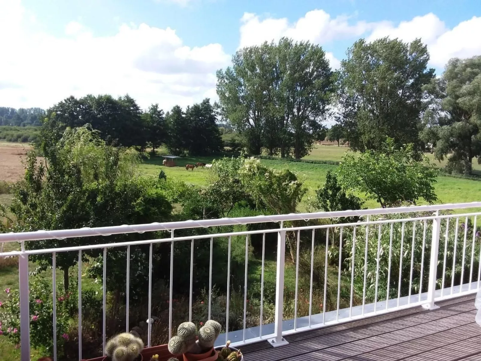 Schmetterling-Outside