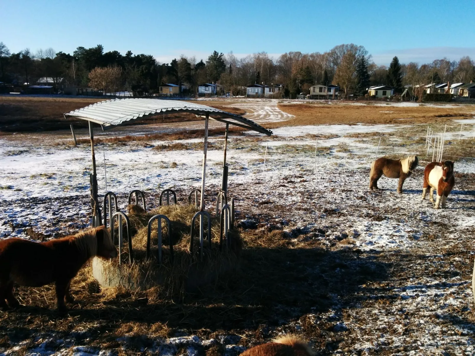 Am Schwielochsee-Outside