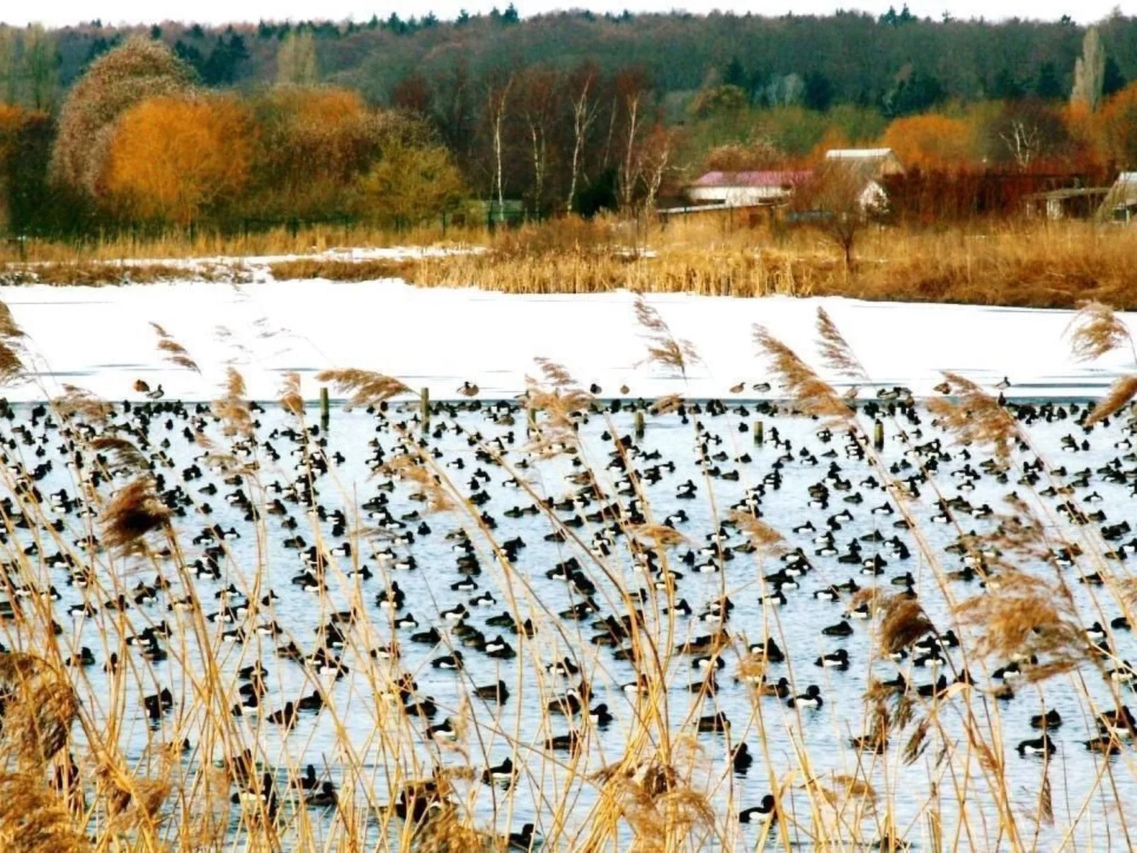 Mit Sauna und Schwimmbadnutzung-Outside