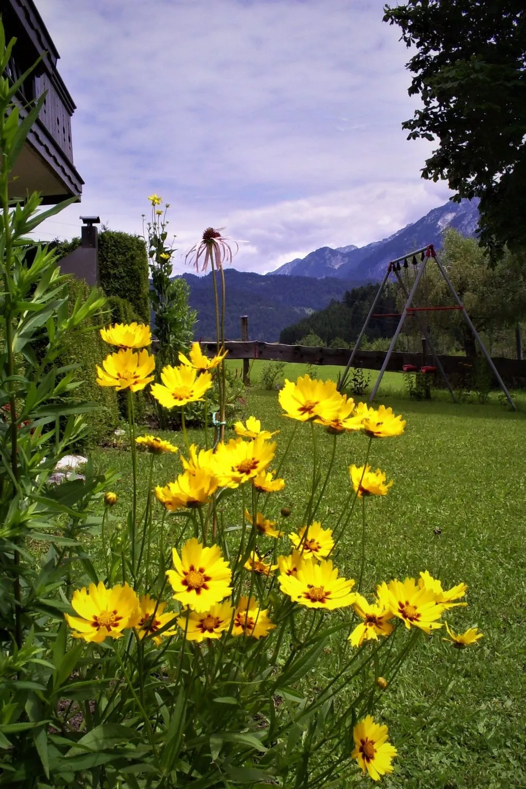 Gsenger Natur in Abtenau-Draußen