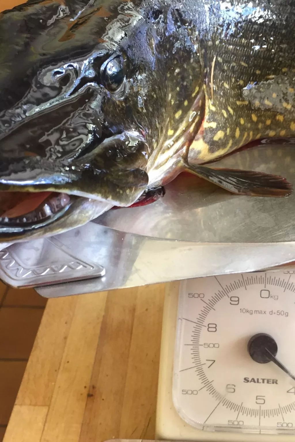 "Évika 3" mit Sauna-Inside