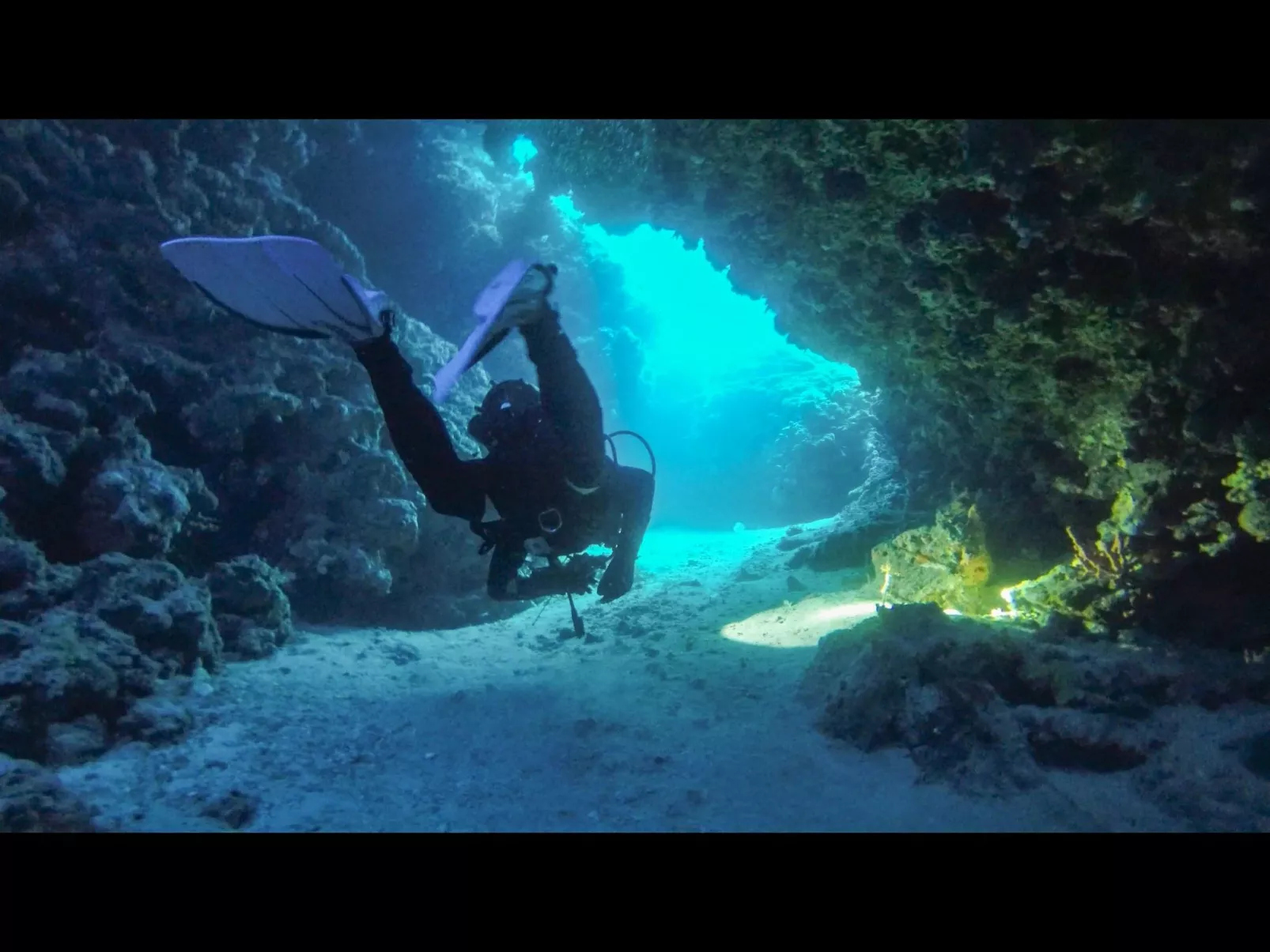 Villa Prana-Image-tags.info