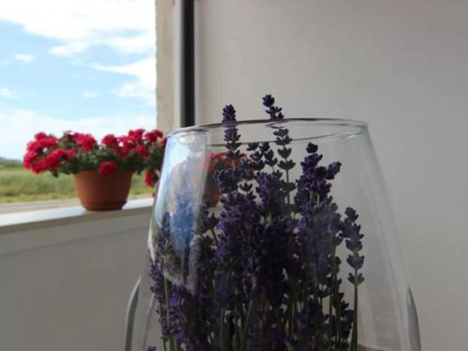 Wohnung Lila - von TA Leut Agency-Drinnen