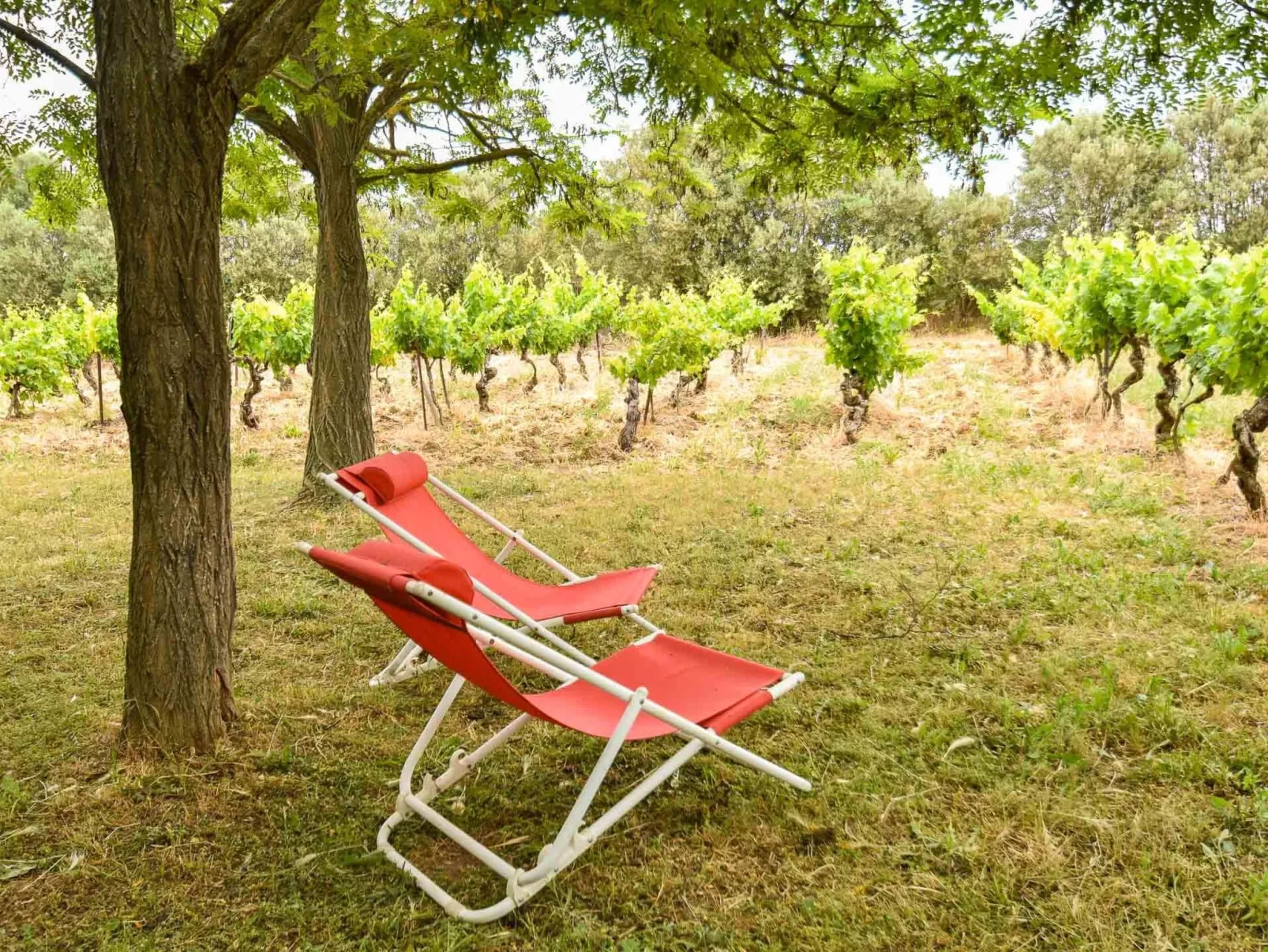 Für 2 Personen und 2 Kinder-Outside