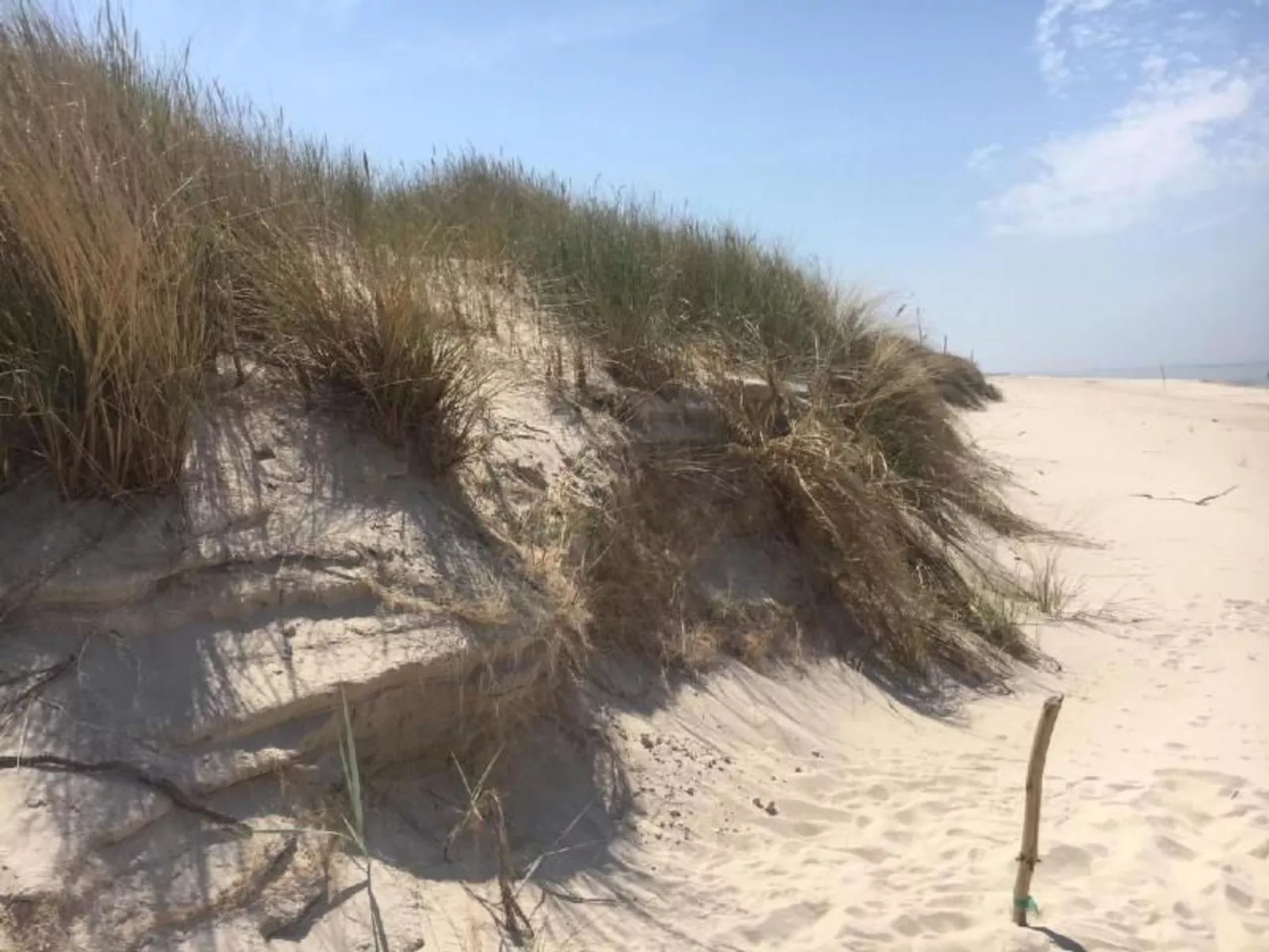 Studio-Wohnung "Apartment 16B" mit Schwimmbad-Draußen