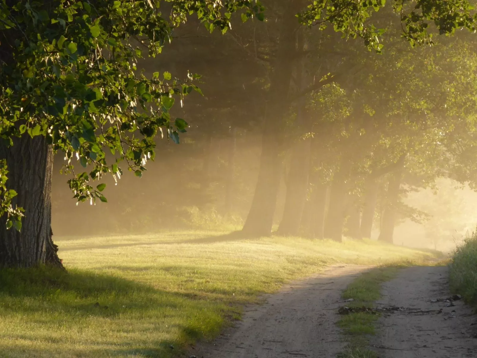 Hochwertige Ferienwohnung in Gingst-Image-tags.info