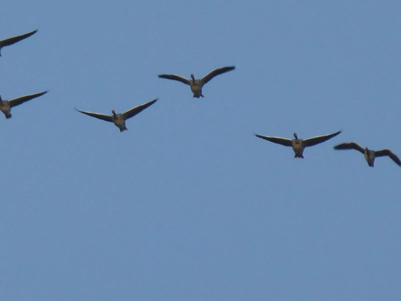 Hochwertige Ferienwohnung in Gingst-Draußen