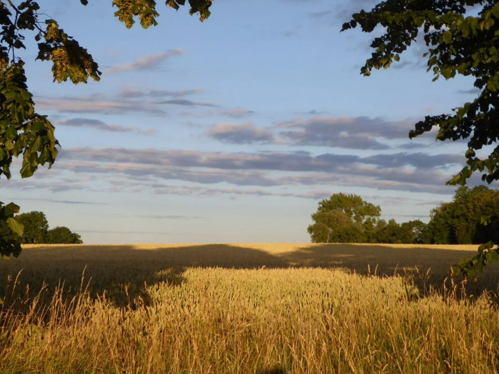 Galerie West-Draußen