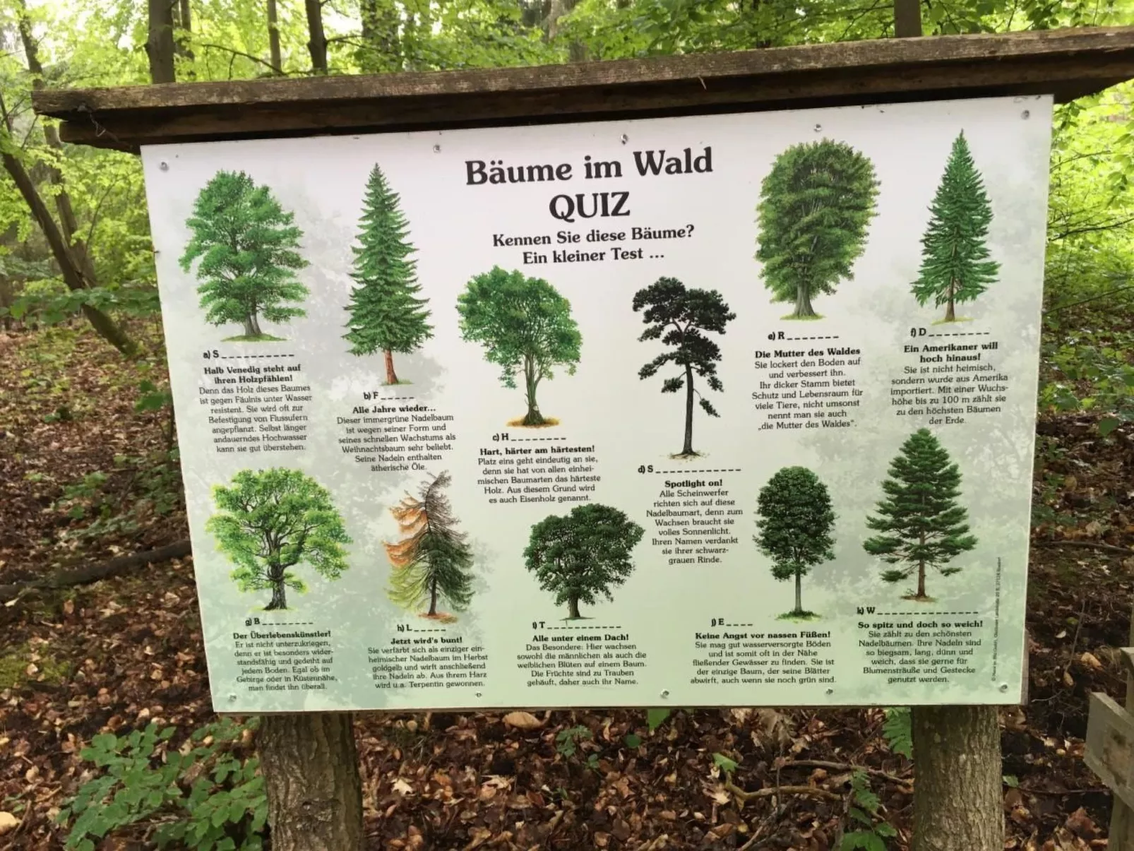 Bungalow Mecklenburgische Seenplatte-Dehors