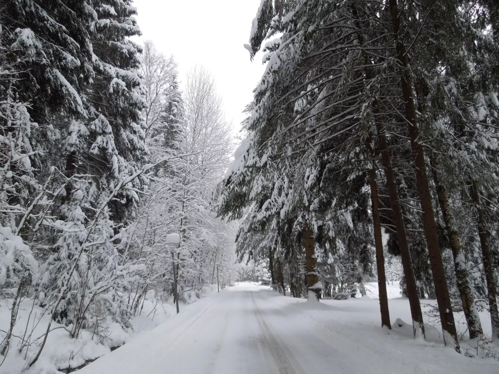 Blockhaus Bodefall-Dehors