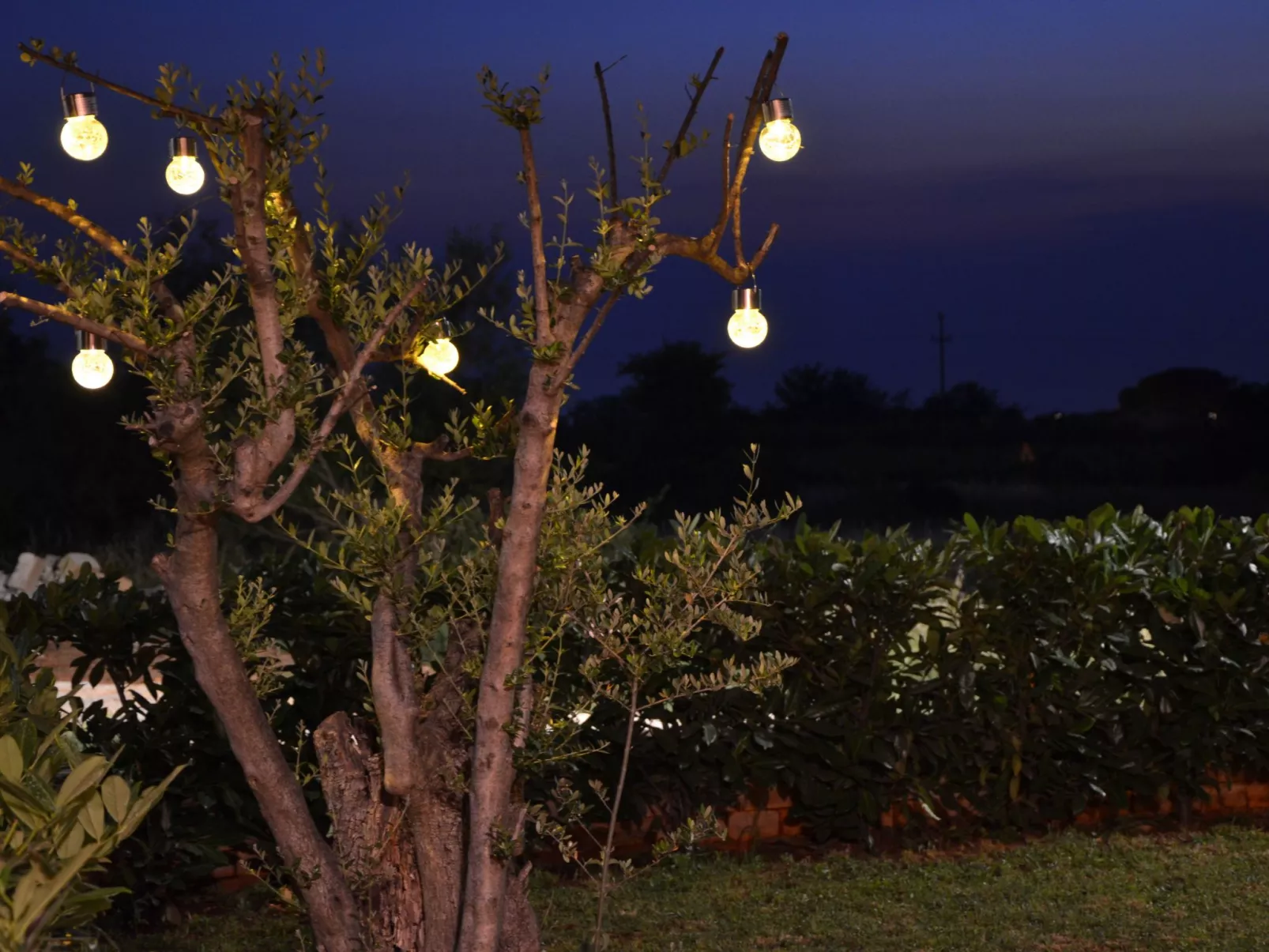 Mit Blick auf das Wasser-Dehors