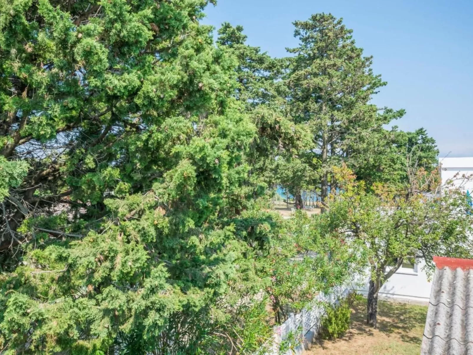 Wohnung "Mira" direkt am Strand-Draußen