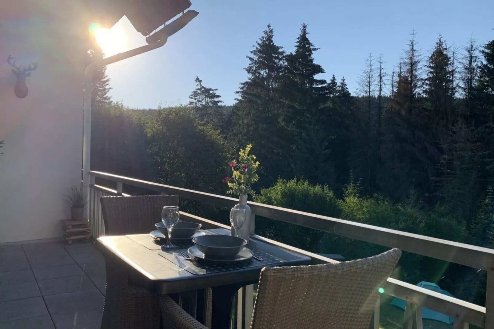 Apartment Rothaarsteig-Terrace balcony