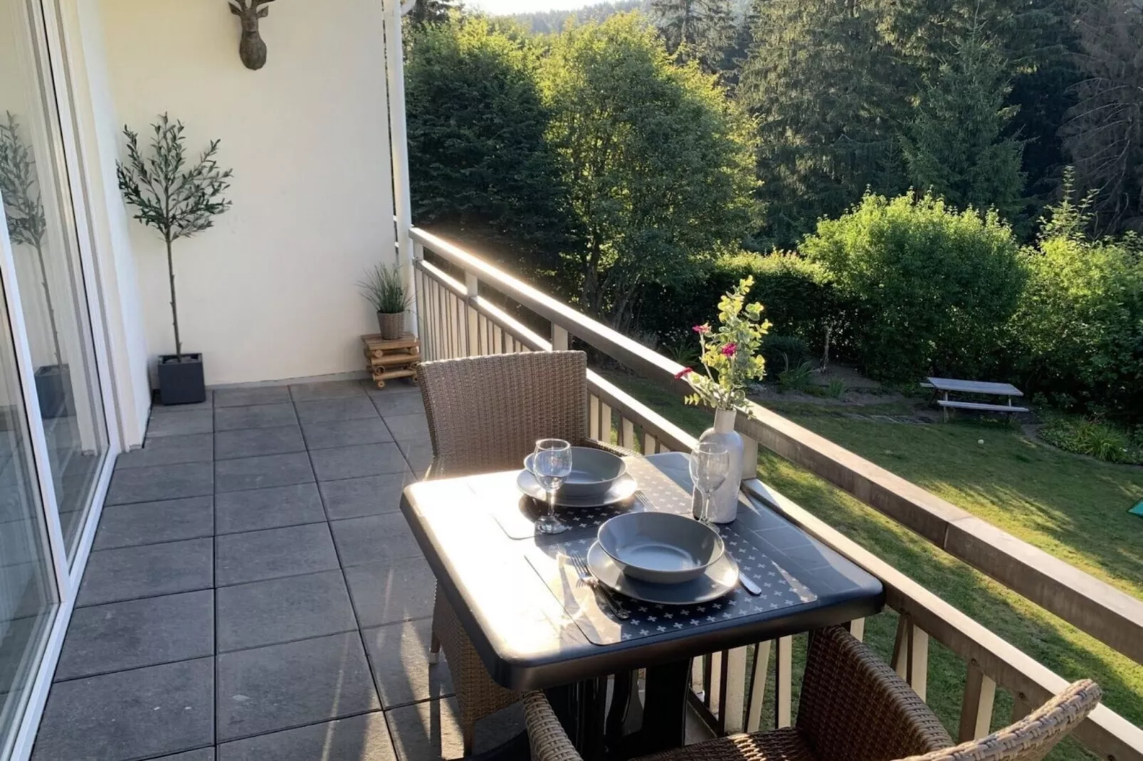 Apartment Rothaarsteig-Terrace balcony