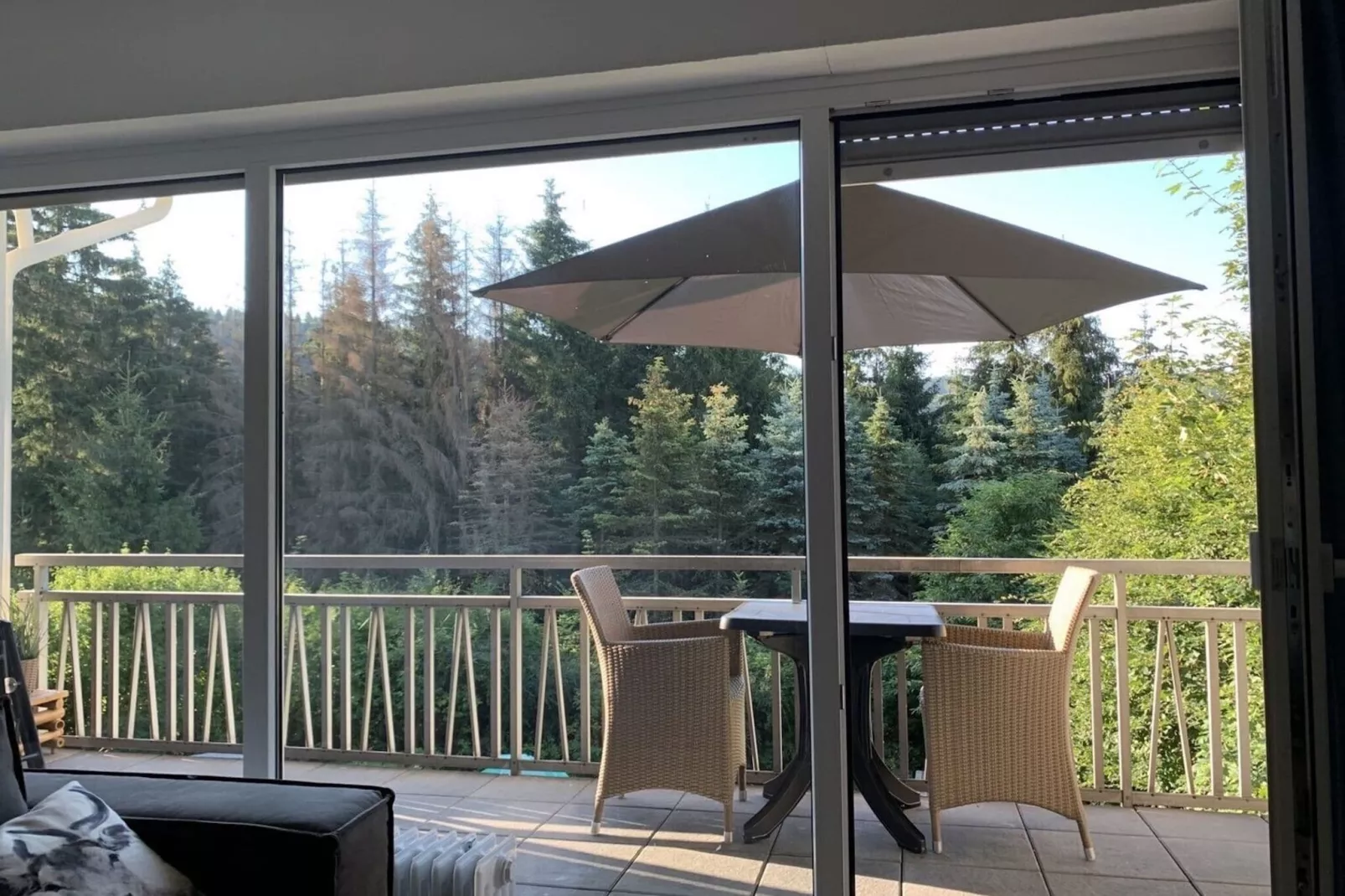 Apartment Rothaarsteig-Terrace balcony