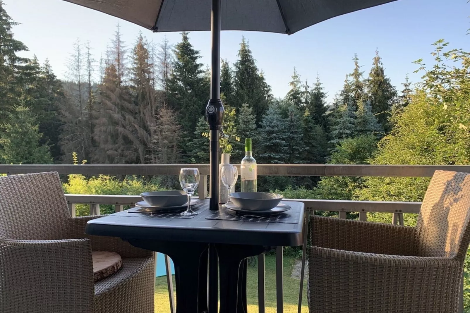 Apartment Rothaarsteig-Terrace balcony